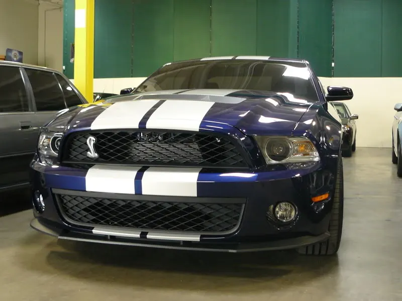 stang003.webp