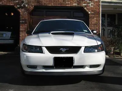 Stang003.webp