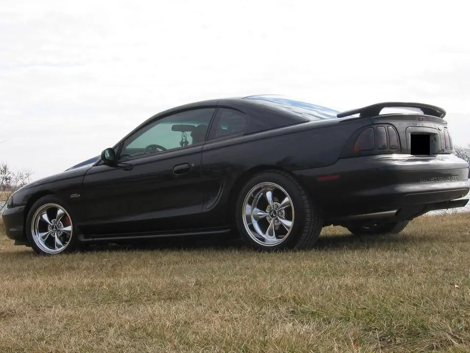 stang003.webp