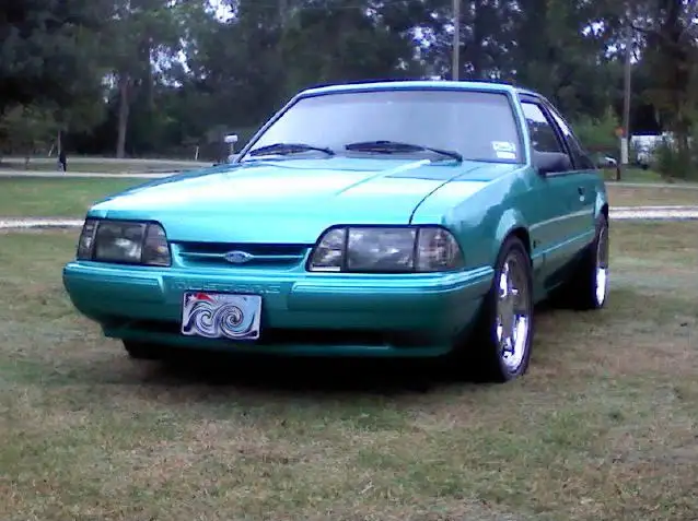 stang004-1.webp