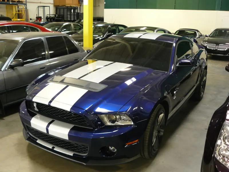 stang004.webp