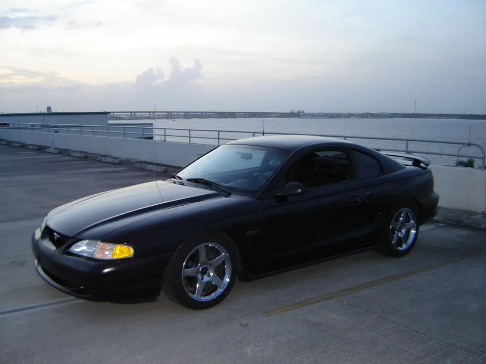 stang004.webp