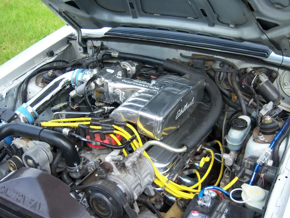 stang004.webp