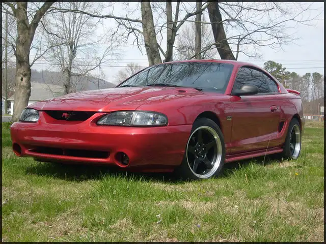 stang004.webp