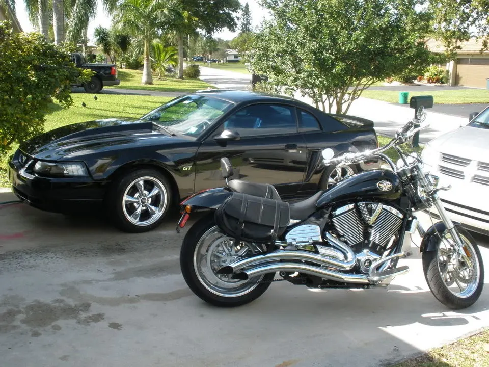 stang005.webp