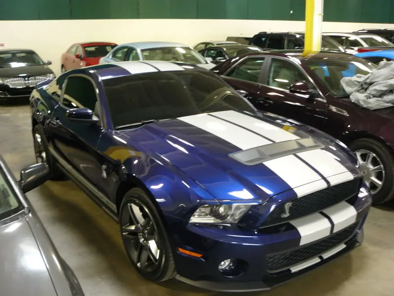 stang005.webp