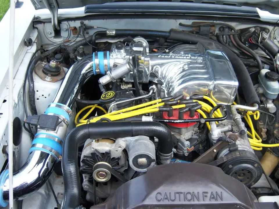 stang005.webp