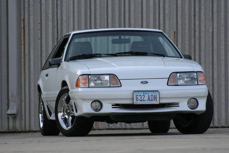 Stang005.webp