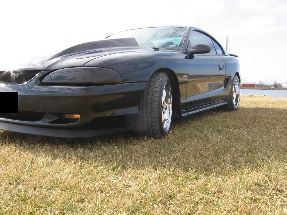 stang005.webp