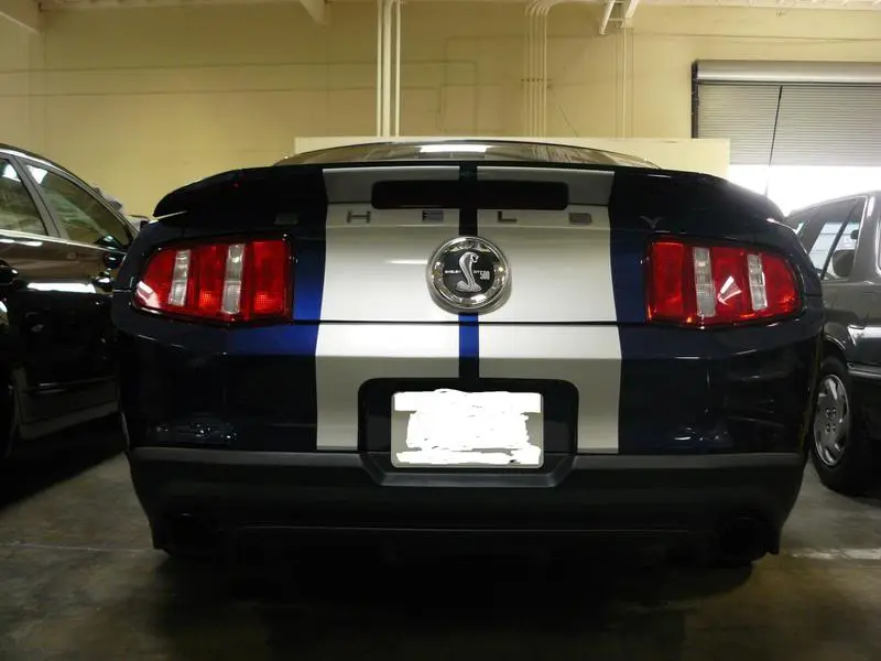 stang006.webp