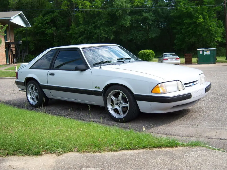 stang006.webp