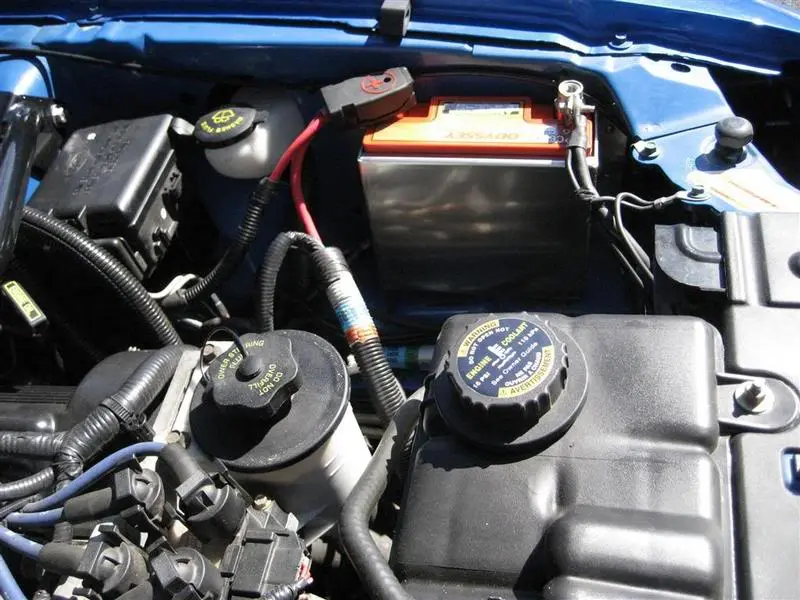 Stang006Large.webp