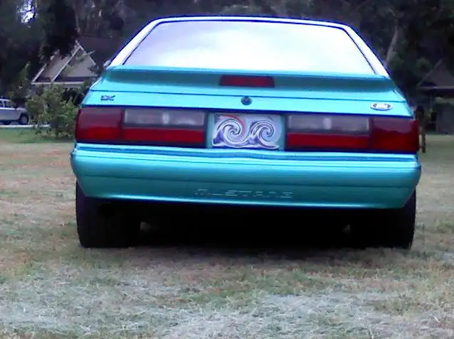 stang007-1.webp