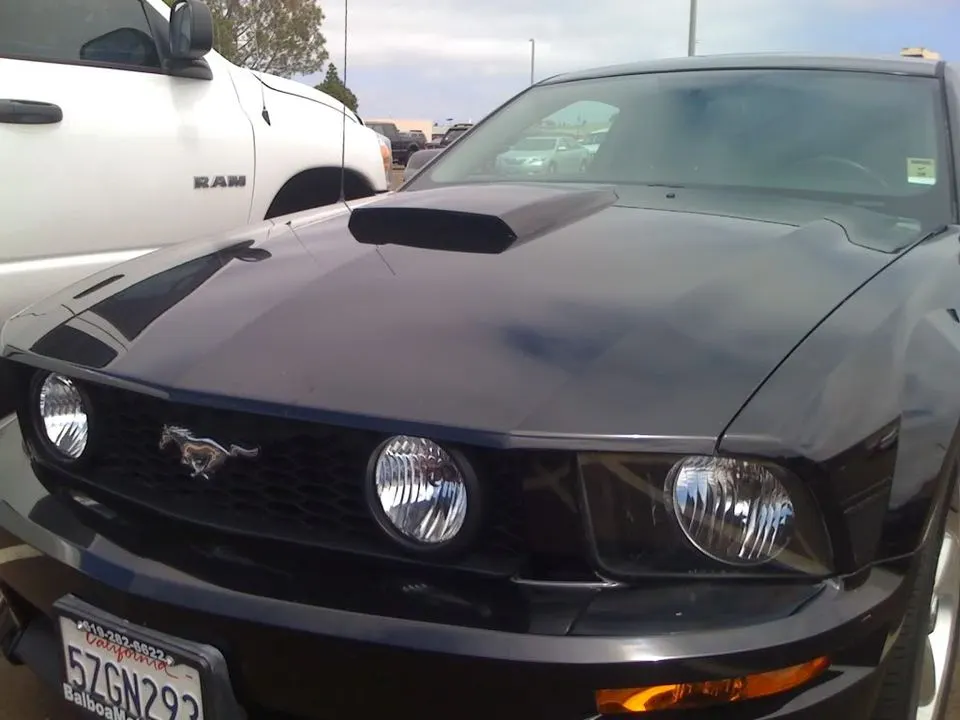 stang007.webp