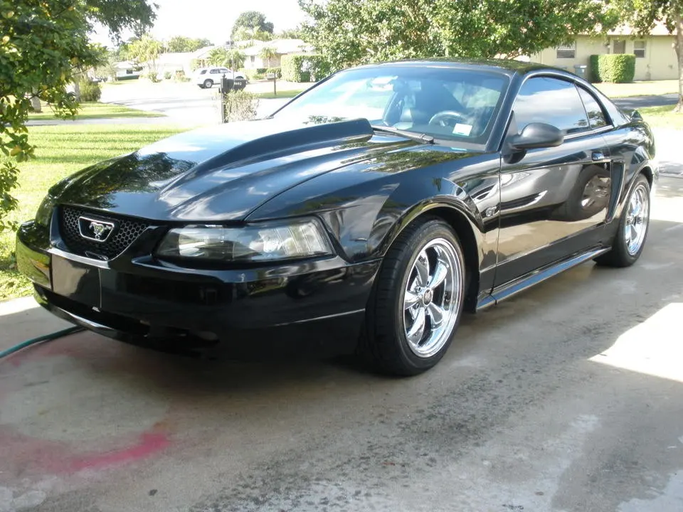 stang007.webp