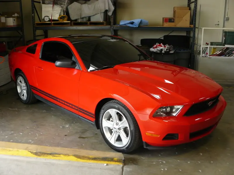 stang007.webp