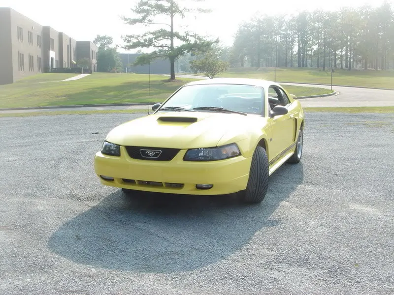 stang007.webp