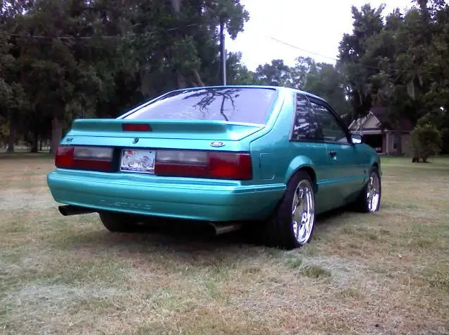 stang008-1-1.webp