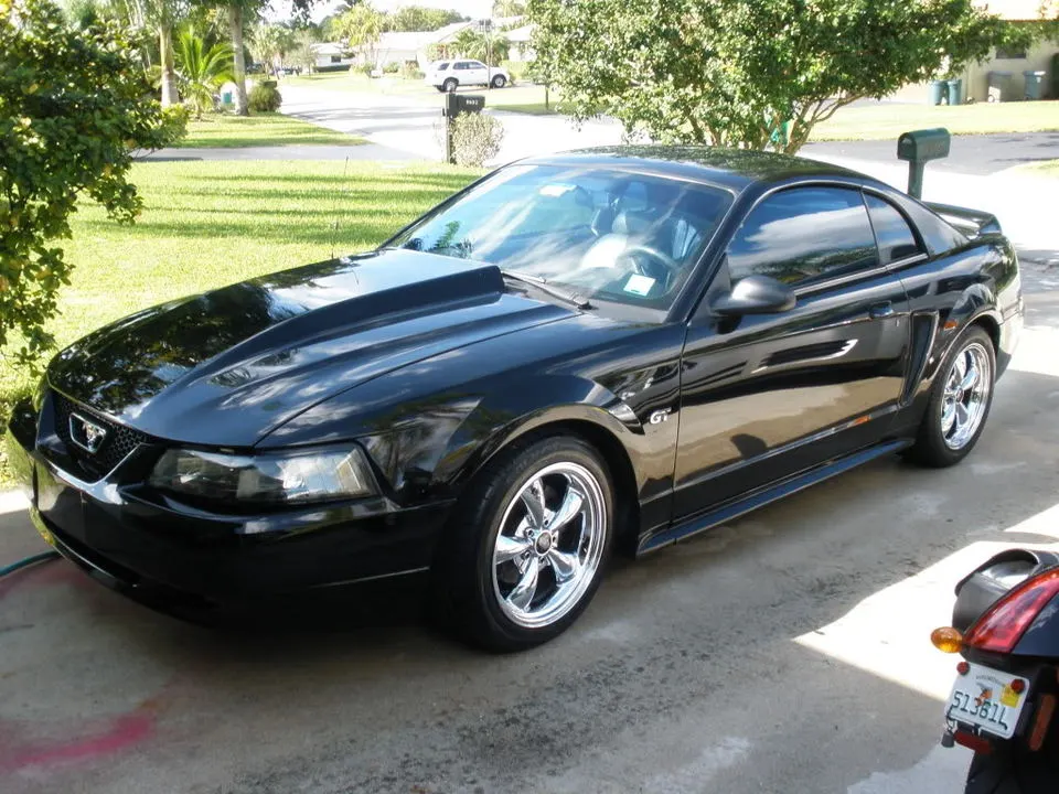 stang008.webp