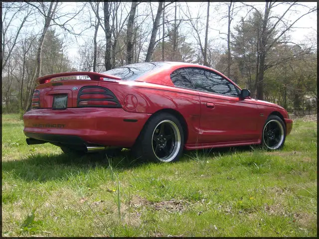 stang008.webp