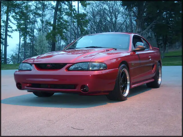 stang009.webp