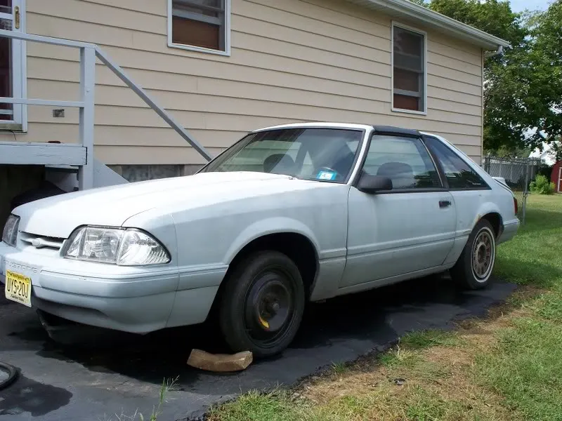 stang009.webp