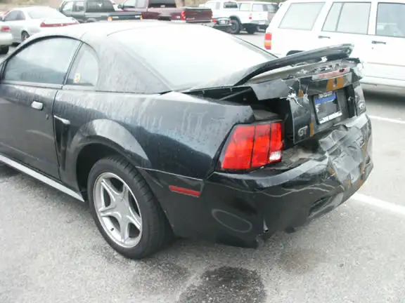 stang01.webp