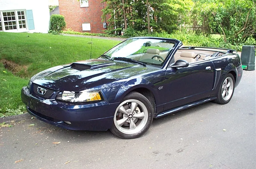 stang01.webp