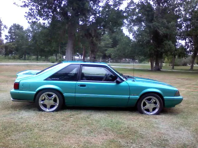 stang010.webp
