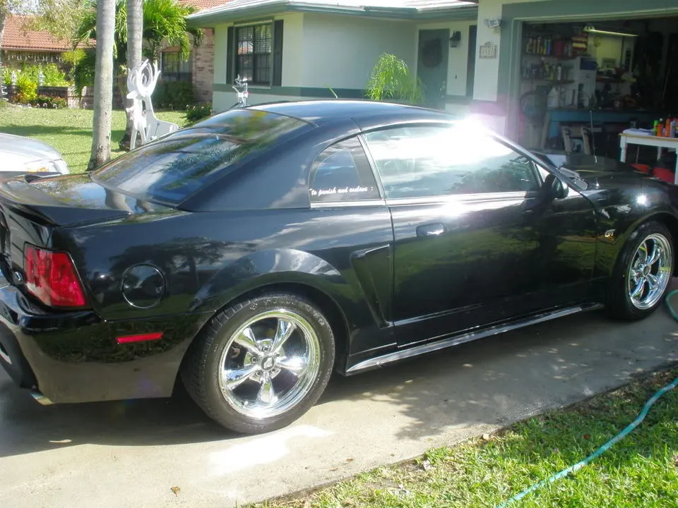 stang010.webp