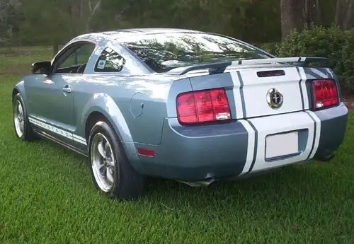 stang010.webp