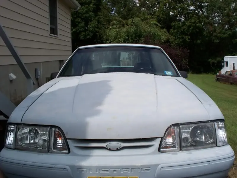 stang010.webp