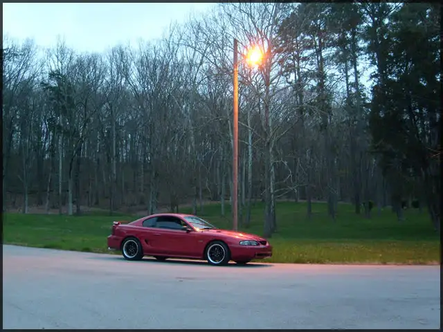 stang011.webp