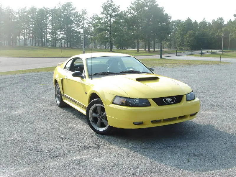 stang012.webp