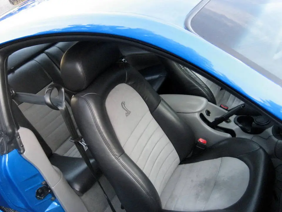 stang013.webp