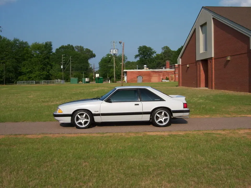 stang013.webp