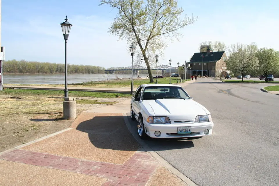 Stang013.webp