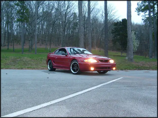 stang013.webp