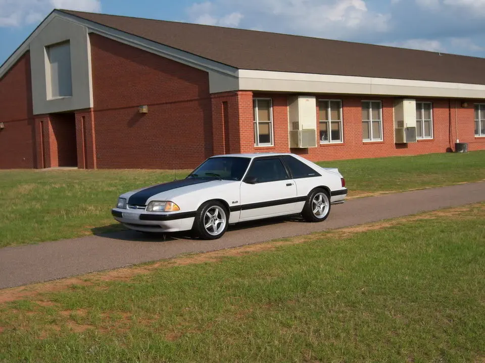 stang014.webp