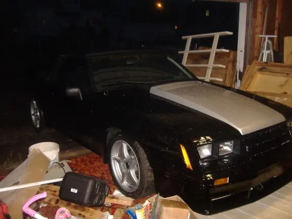 stang014.webp