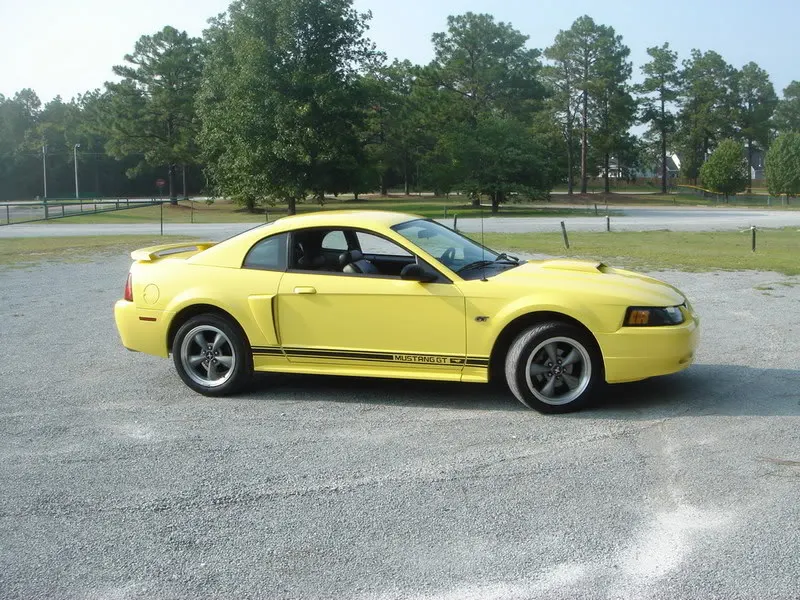 stang015.webp