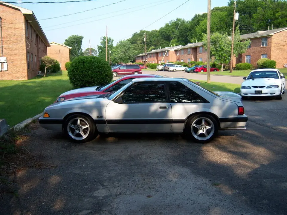 stang018.webp