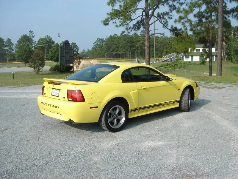 stang018.webp