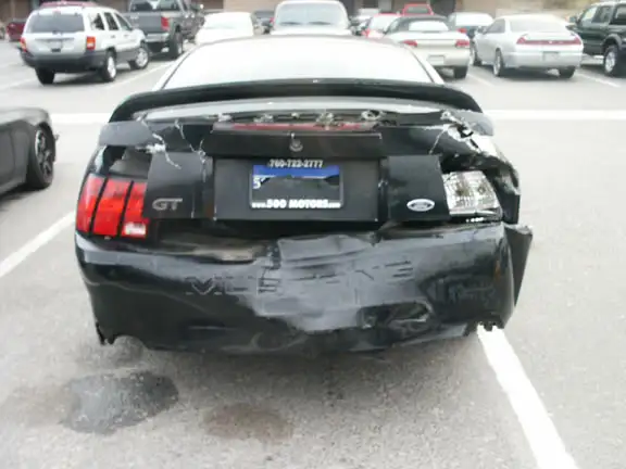 stang02.webp