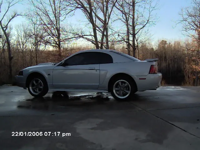 stang022.webp