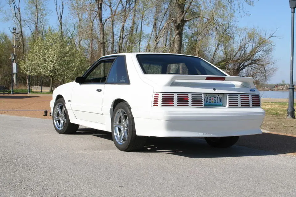 Stang023.webp