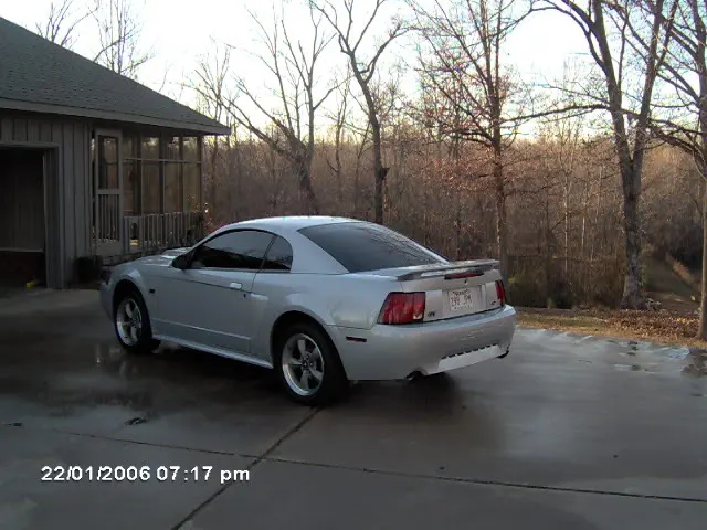 stang023.webp