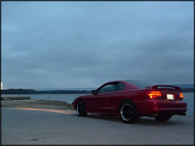 stang024.webp