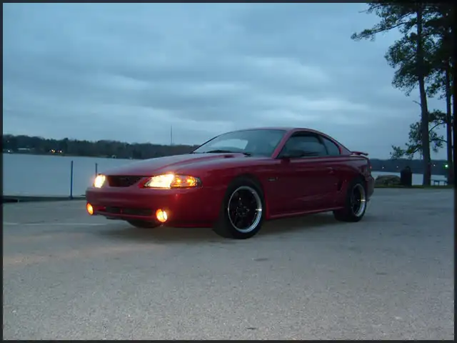 stang025.webp