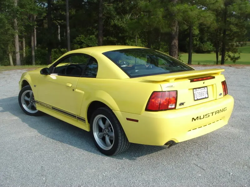 stang026.webp